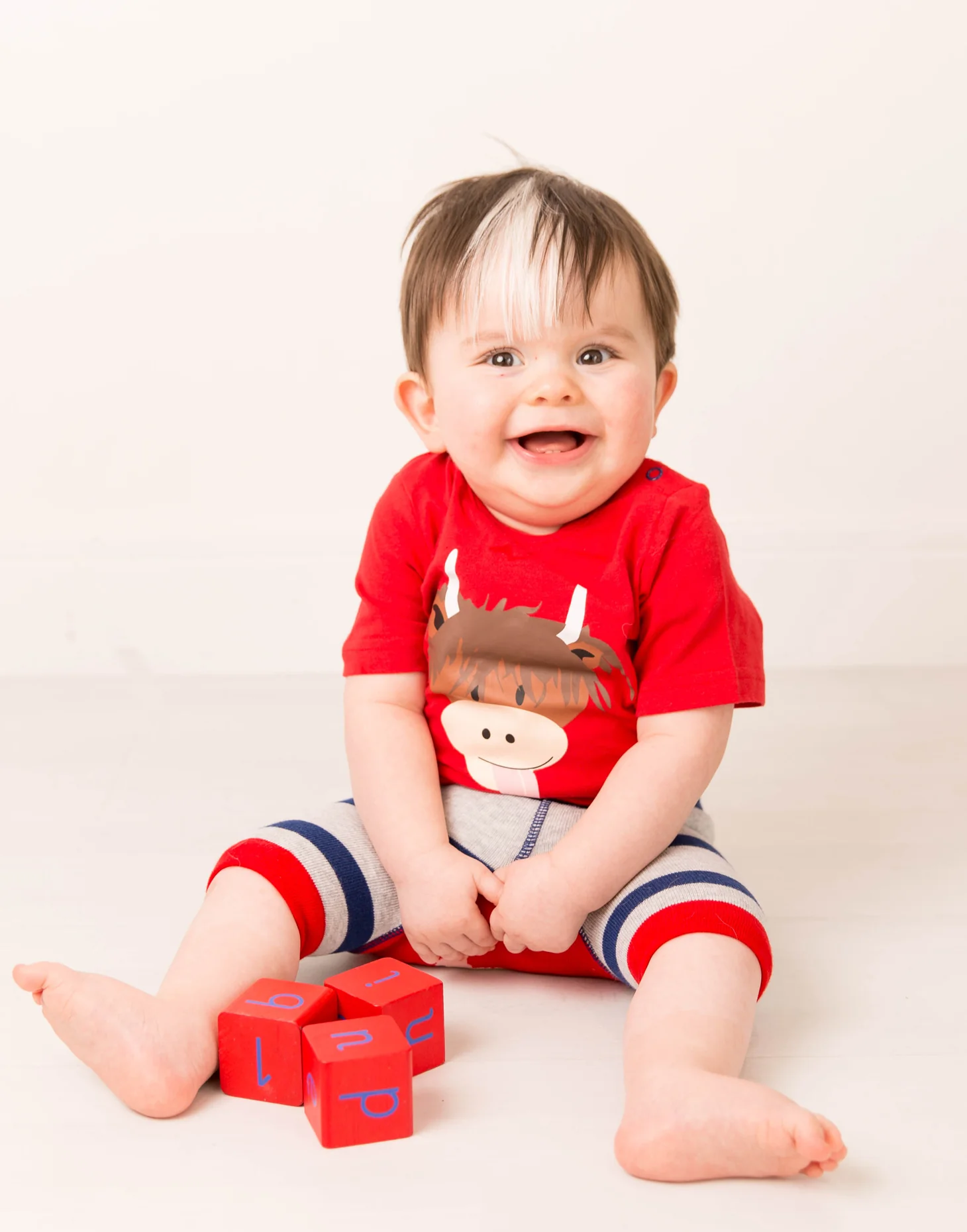 Hamish Highland Cow Shorts - Image 3